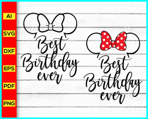 Best Birthday Ever Svg, Disney Svg, Disney Birthday Svg, Mickey Minnie Svg, Birthday Svg, Birthday shirt, Birthday Saying Svg, Birthday Party, Birthday Trip - My Store